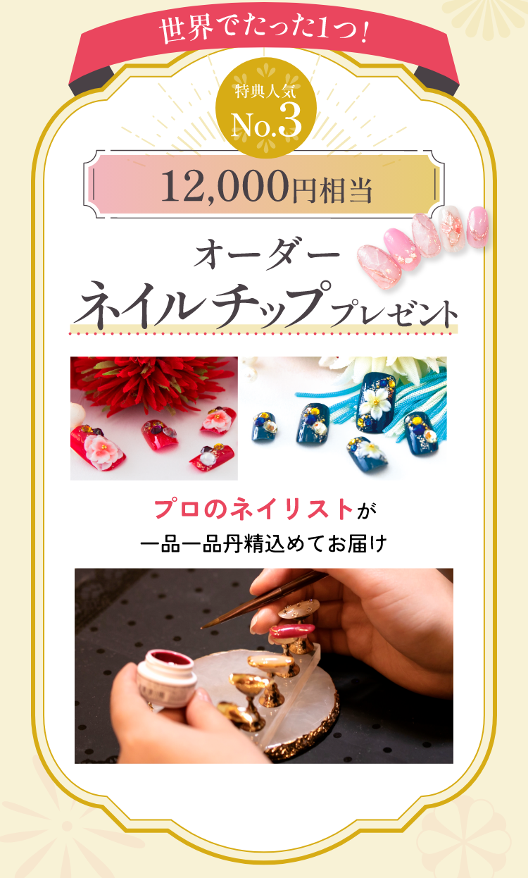 お買い上げ特典　人気No.3　12,000円相当　オーダーネイルチッププレゼント