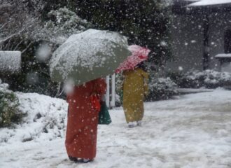 2月におすすめの着物の柄は？冬の着物を楽しむお役立ち情報をご紹介