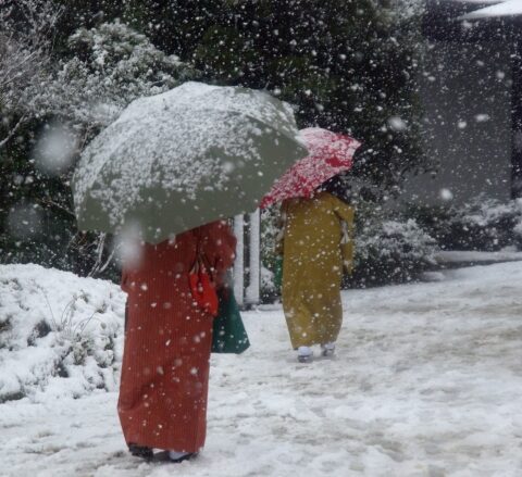 2月におすすめの着物の柄は？冬の着物を楽しむお役立ち情報をご紹介