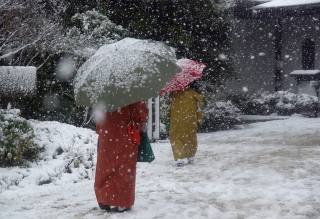 2月におすすめの着物の柄