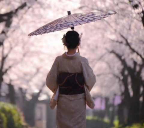 着物はサイズ直しできる？直せる部分と費用、できない着物とは